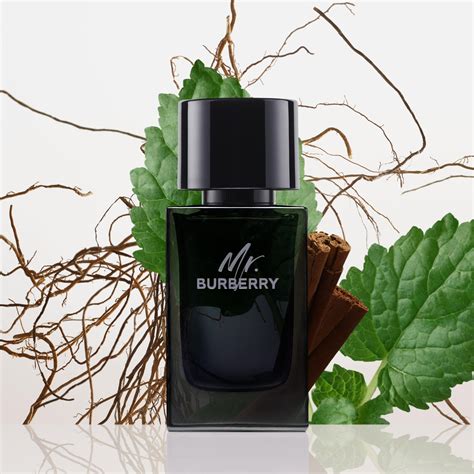 mr burberry pubblicita|Mr. Burberry Eau de Parfum .